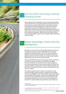 新能源汽車(chē)的技術(shù)發(fā)展趨勢(shì) 驅(qū)動(dòng)未來(lái)出行的創(chuàng)新引擎